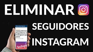 Cómo Eliminar Seguidores de Instagram paso a paso [upl. by Nesto]