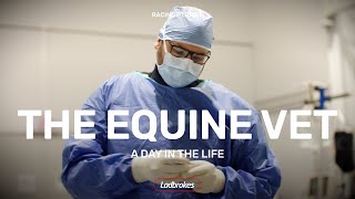 A Day In The Life Of Equine Vet Stuart Vallance [upl. by Christiano]