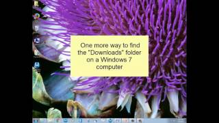 How to Find Your Downloads Folder on a Windows Computer [upl. by Hayse369]