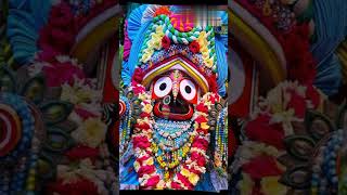 He bandhu bidaya 🙏  odia stauts video  jagannath song  bhajan 🙏 🙏🙏 [upl. by Noicpecnoc258]