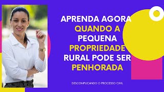 Aprenda agora quando a pequena propriedade rural pode ser penhorada [upl. by Fennelly]