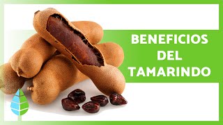 PROPIEDADES y BENEFICIOS del TAMARINDO 🥜✅ Para qué SIRVE Cómo Tomarlo y Contraindicaciones [upl. by Akehs]