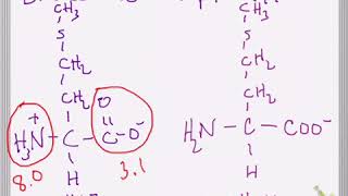 Effect of pH and pKa on Amino Acid Structure [upl. by Kerwin]