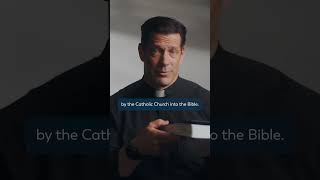 quotThe Entire Bible in 10 Minutesquot feat Fr Mike Schmitz shorts [upl. by Gareth]