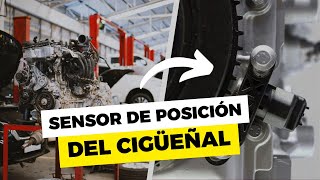 💥 SENSOR CKP  QUÉ ES UBICACIÓN FUNCIONAMIENTO Y FALLAS [upl. by Irolam854]