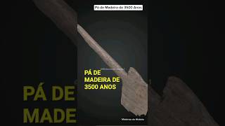 Surpreendente Pá de Madeira de 3500 Anos Encontrada  Mistérios da História [upl. by Malvin]