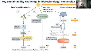 BuildaCell seminar Nico Claassens Synthetic metabolism for sustainable biotech amp synthetic cells [upl. by Kerekes]