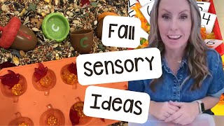 Fall Sensory Ideas for Preschool PreK and Kindergarten [upl. by Calia501]