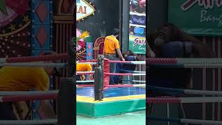 Orangutan Boxing Training in Thailand Please Read Description [upl. by Nidorf]