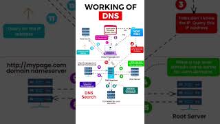 dns process and troubleshooting concepts  dns server [upl. by Isidor]