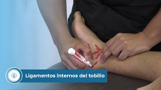 Ligamentos internos del tobillo [upl. by Niwled688]