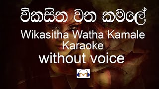 Wikasitha Watha Kamale Karaoke without voice විකසිත වත කමලේ  Sinhala Music Tracks [upl. by Crosley]