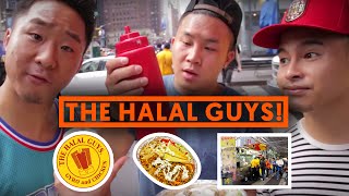 HALAL GUYS CART 53RD amp 6TH NYC Chicken and Rice  Fung Bros [upl. by Esch750]