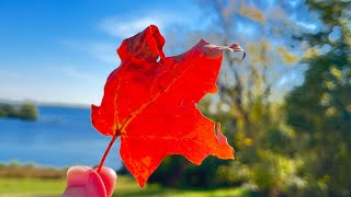 Okoboji Broadcast 1006 Fall colors stealing the show Okoboji Tourism [upl. by Coppins]