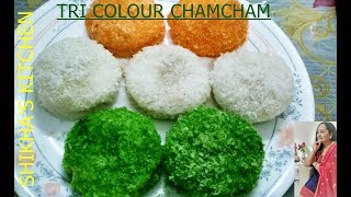 तिरंगी चमचम  Tri Colour Instant Chamcham Recipe Independence Day Special [upl. by Bowen]