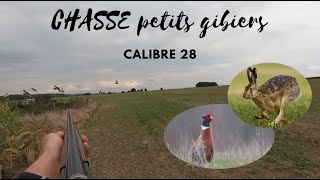 CHASSE aux petits gibiers au calibre 28 perdrix faisans lièvres [upl. by Nibram]