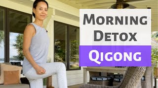 MORNING DETOX QIGONG [upl. by Salsbury134]