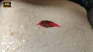 Colored feather  Temporary Tattoo Sticker Tattoo [upl. by Vilma]