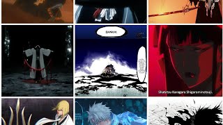 Bleach characters saying Bankai [upl. by Thorman445]