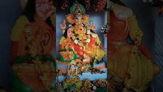 Parboti putro Ganesh Maharaj joy🙏🙏🙏🙏🙏 song musicsortslikesubscribe [upl. by Naasar]