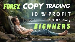 Forex Trading for bignners and Expert 2025 ChatuRinvestoR [upl. by Hareehahs]