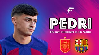 Pedri The best midfielder in the World  Fc Barcelona  Spain [upl. by Bradeord398]