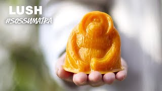 Lush Cosmetics Replanting the Sumatra with Orangutan Soap [upl. by Ahsyek113]