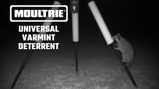 New for 2024 Moultrie Universal Varmint Deterrent [upl. by Lewap409]