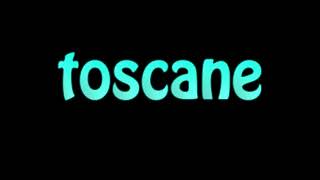 Learn How To Pronounce toscane [upl. by Sera]