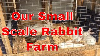 Our Small Scale Rabbit Farm [upl. by Thill630]