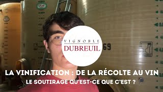 VINification d’un vin blanc 55  Le SOUTIRAGE [upl. by Neille]