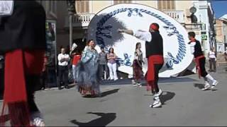 BALL DE SANT ANTONI DALCANAR  El Montsià Tarragona [upl. by Aynotel]