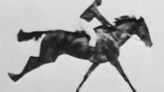 quotSallie Gardner at a Gallopquot or quotThe Horse in Motionquot Eadweard Muybridge 1878 [upl. by Eba]