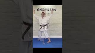 Hangetsu Kata First Kiai shotokan shorts hangetsu kata shotokankata [upl. by Horan]