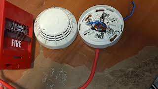 quotProTipquot Swapping Out Wired Smoke Alarms [upl. by Sirref]