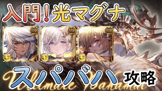 ［グラブル］スパバハ入門解説 ［光マグナ］ [upl. by Yenitsed359]