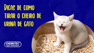 Como tirar o cheiro de urina de gato  ChemitecÂ® [upl. by Payne]