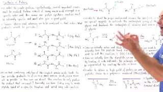 Synthetic Synthesis of Proteins [upl. by Stead]