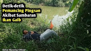 Ya tuhan‼️ pemancing mana yang gak pingsan kalau mancing seperti ini [upl. by Ada]