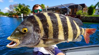 The BARNACLE Eating Fish… Big Sheepshead Catch Clean Cook [upl. by Sacksen]