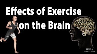 Effects of Exercise on the Brain Animation [upl. by Remoh]