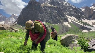 Xwezî Yare  Hozan Zekerya 💐  Kürtçe Yeni Şarkı Müzik  Cilo Cennet Vadisi HD [upl. by Roosnam]