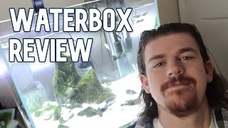 BEST Aquascape Tank  Waterbox Clear Mini Review [upl. by Ainekahs]