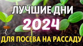 ЯНВАРЬФЕВРАЛЬ 2024 Когда сеять на рассаду 2024 Лунный посевной календарь на январьфевраль 2024 [upl. by Doowle]