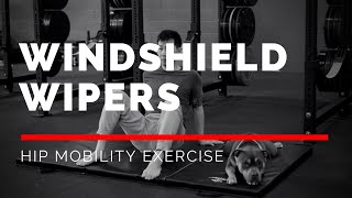 Windshield Wipers Exercise IMPROVE YOUR HIP MOBILITY [upl. by Ennayk]