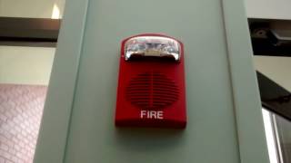 Fire Alarm Activation Due to Suppression System [upl. by Berrie953]