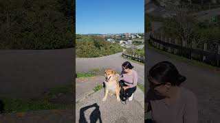 View From Saint John Sign New Brunswick [upl. by Yesoj]