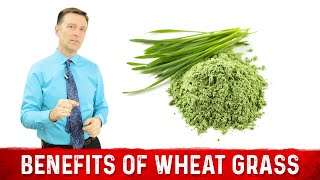 Wheatgrass Powder Benefits and Uses [upl. by Revorg]