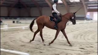 Championnat de France de Dressage Club 2 sénior 2024 reprise libre en musique [upl. by Desdamona]