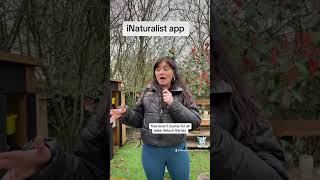 iNaturalist app [upl. by Ynar]